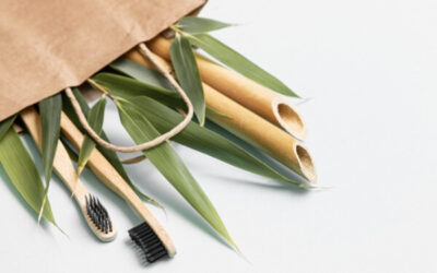 Vegan bamboo toothbrush
